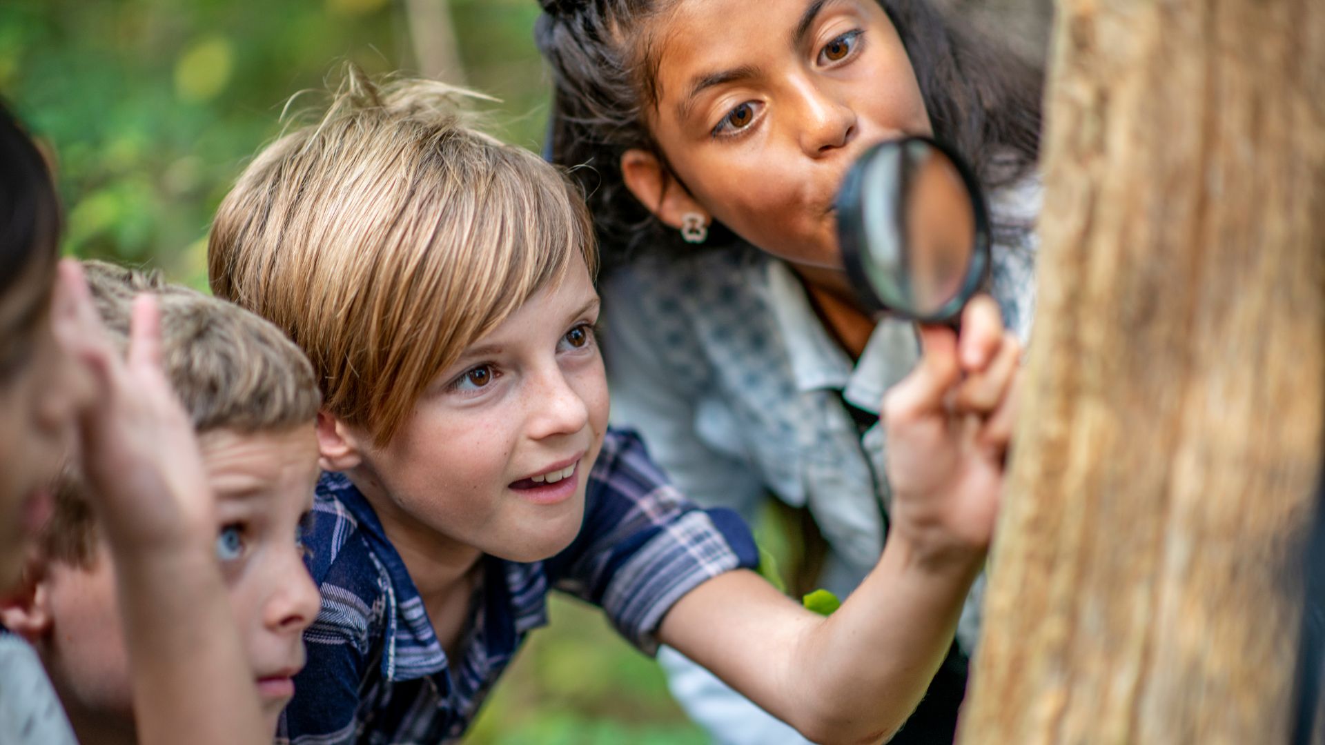 When to refer to IRS